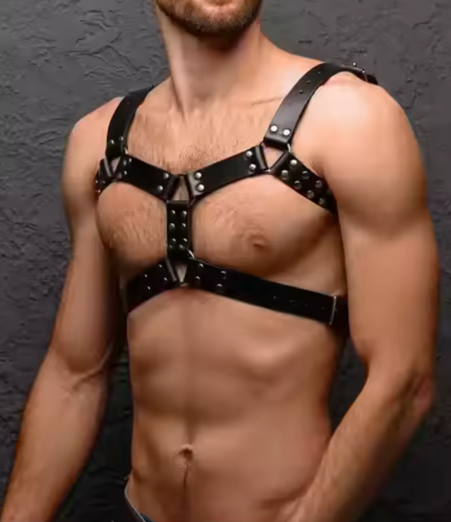 Ignite Harness (One Size Fits All)