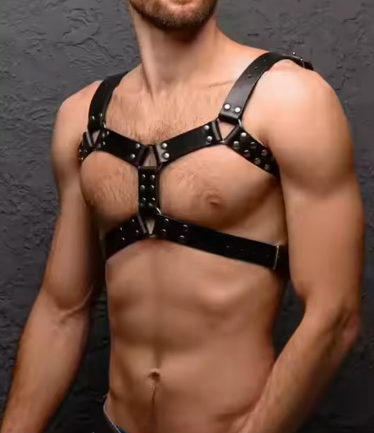 Ignite Harness (One Size Fits All)