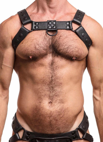 The Premium Alpha Harness