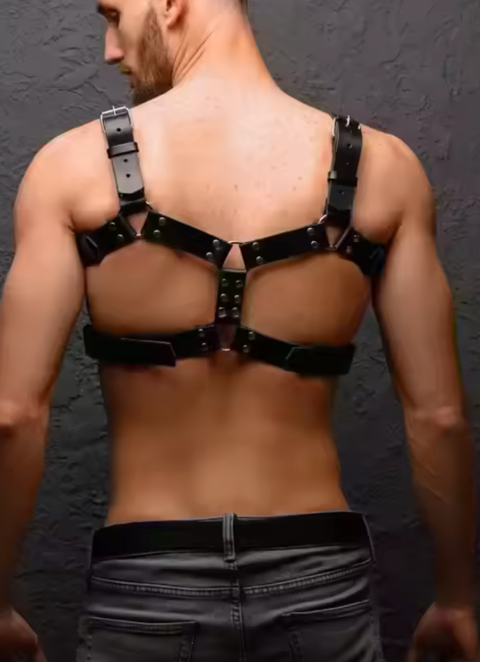 Ignite Harness (One Size Fits All)