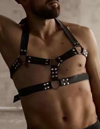 Ignite Harness (One Size Fits All)