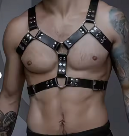 Ignite Harness (One Size Fits All)