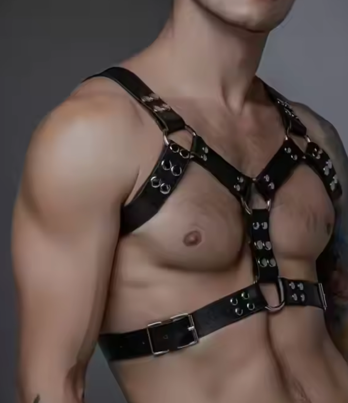 Ignite Harness (One Size Fits All)