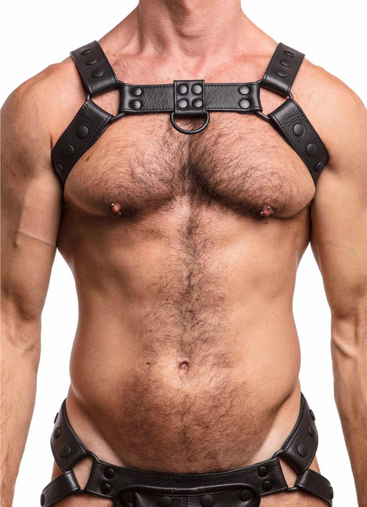The Premium Alpha Harness