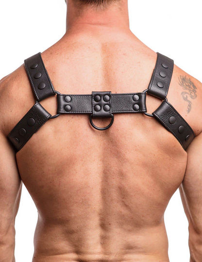 The Premium Alpha Harness