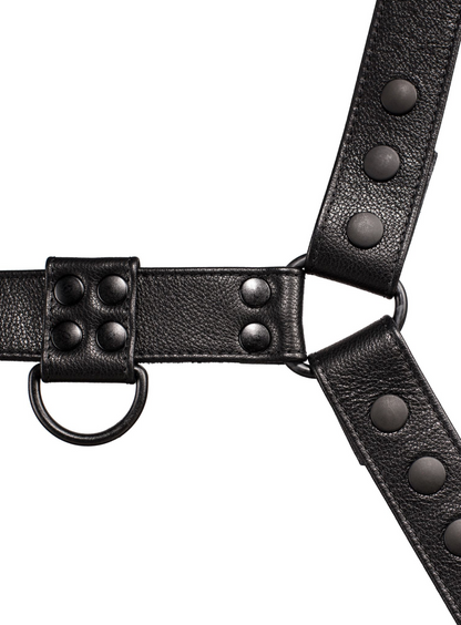 The Premium Alpha Harness